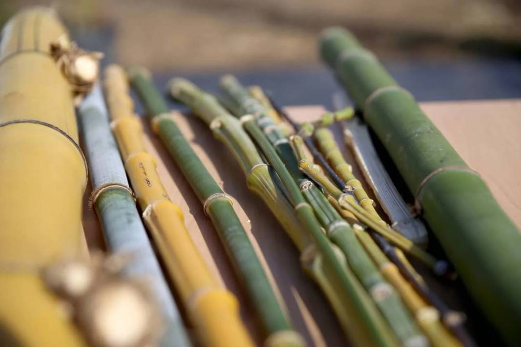 Balkonda eğlencesine yetiştirmeye başlamıştı, şimdi dev fidanlık kurdu! Paraya para demiyor, nereden nereye... 19